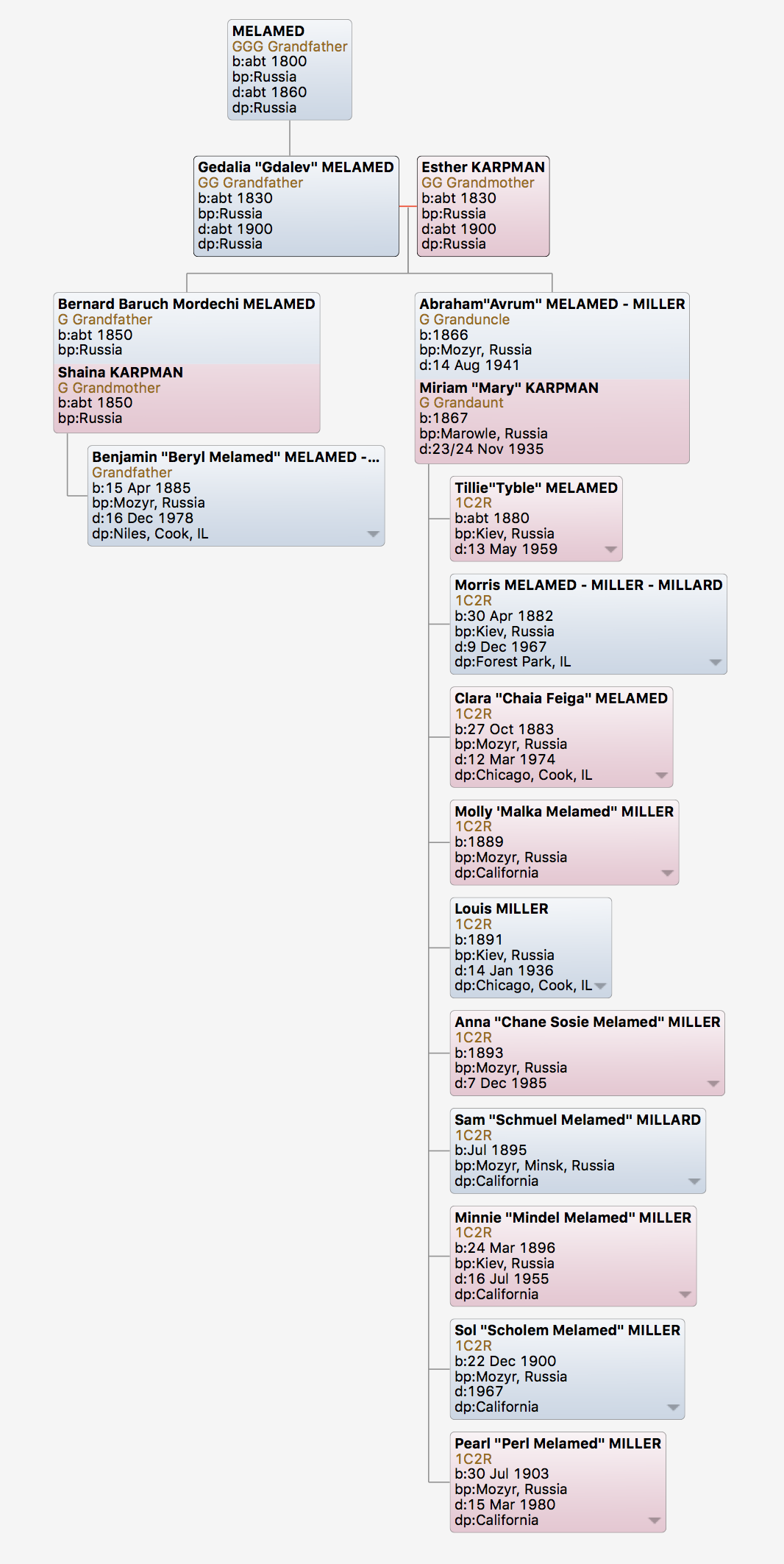 MELAMED Family Tree | Melamed Family History