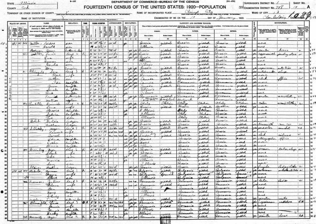 1920 US Census | Melamed Family History